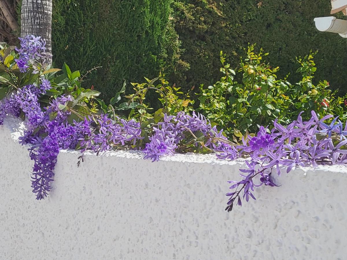Romantic White Villa -Private Pool Nerja Exterior foto